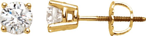 Main Selected Image