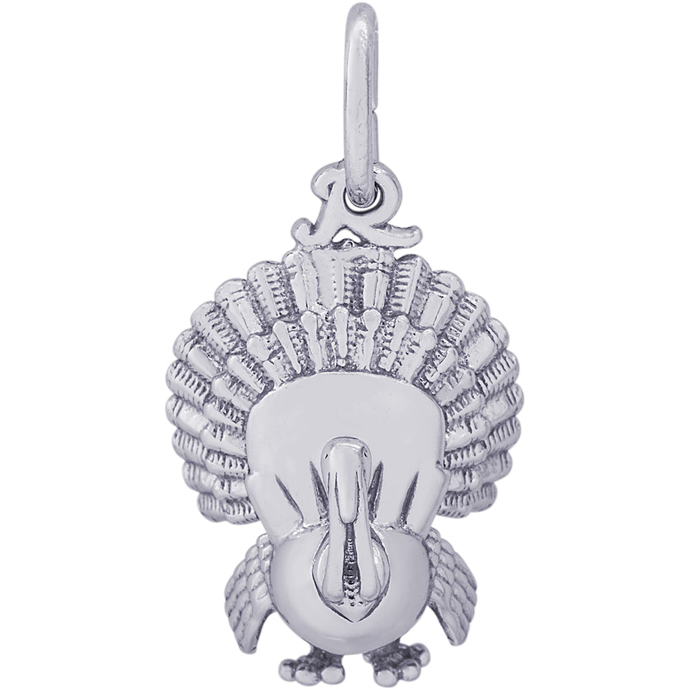 Main Selected Image