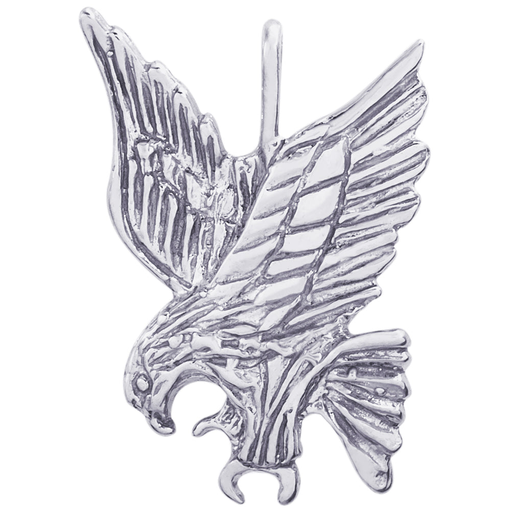 Main Selected Image