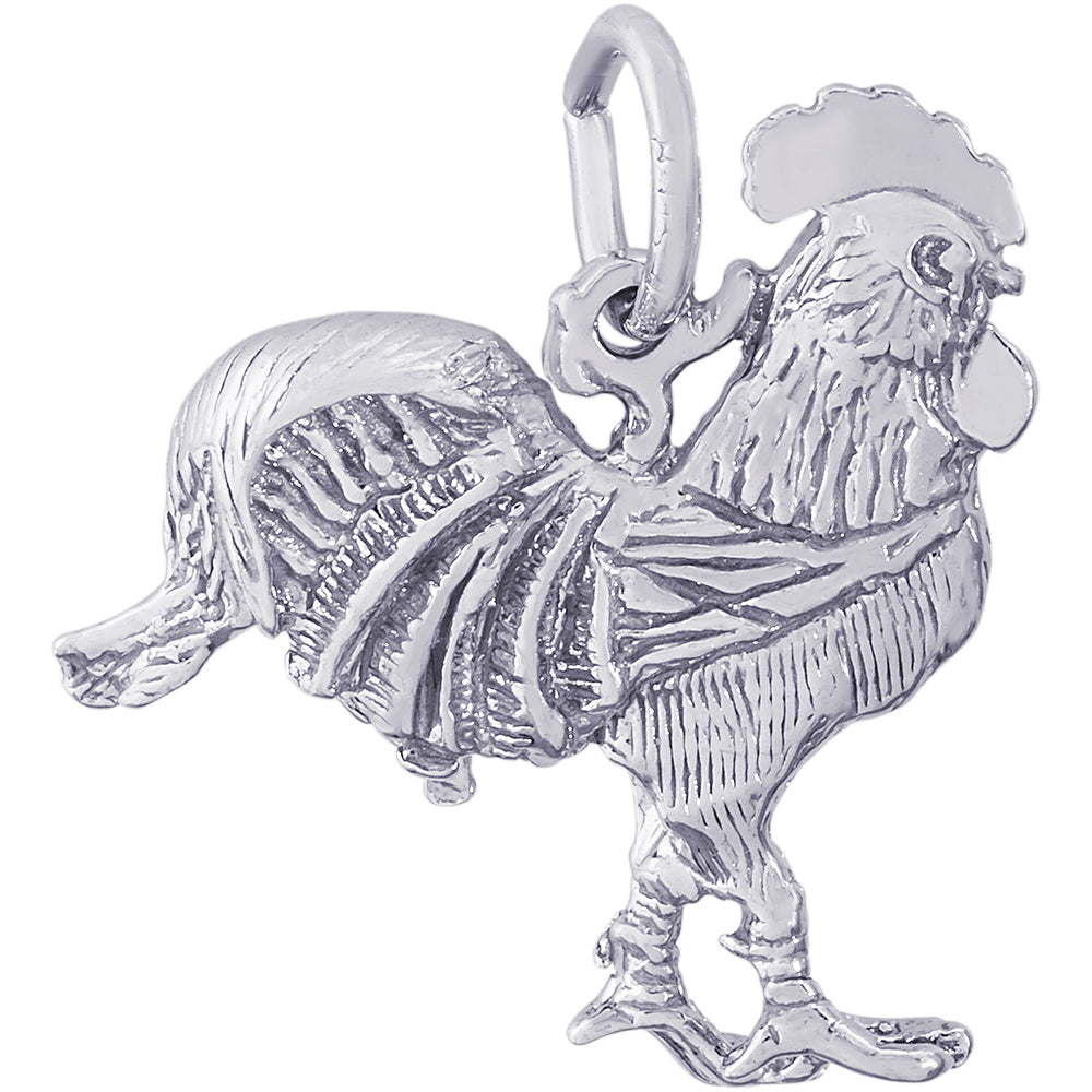 Main Selected Image