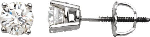 Main Selected Image