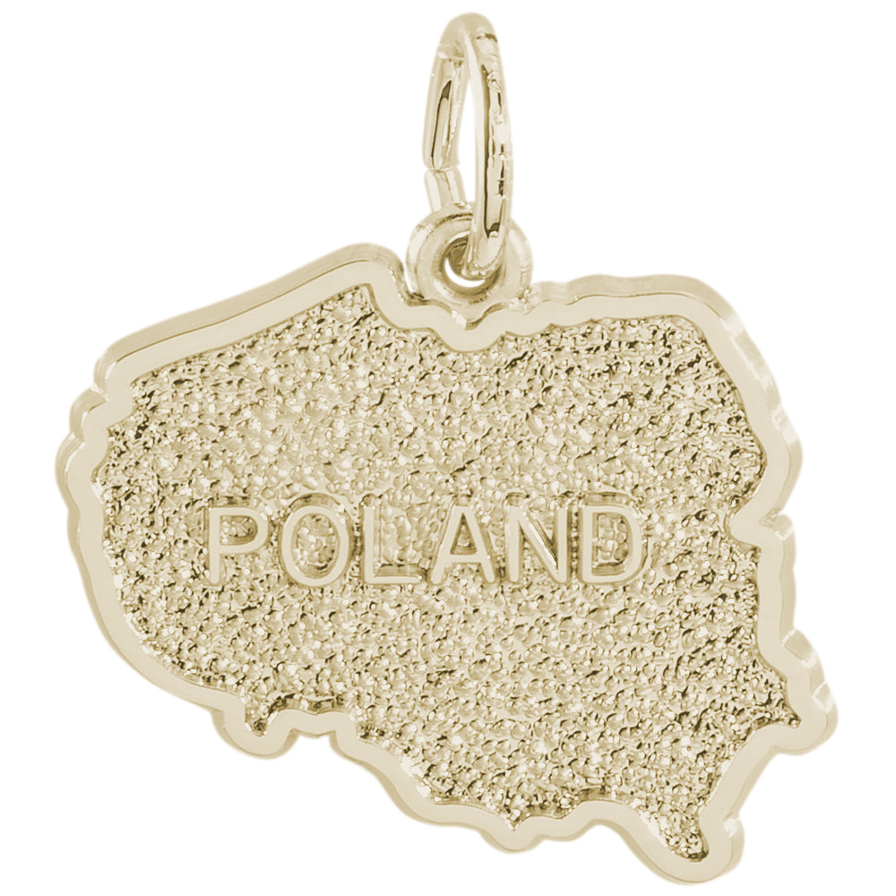 Main Selected Image